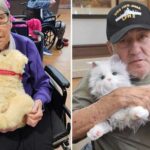 two residents of a texas state veterans home iris pierce holding a robotic dog on her lap and gerardo soleto cuddling a robotic cat