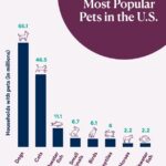 bar graph depicting the most popular pets in the united states