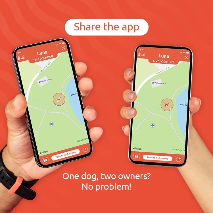 Share pet tracker access with multiple owners via the PitPat app