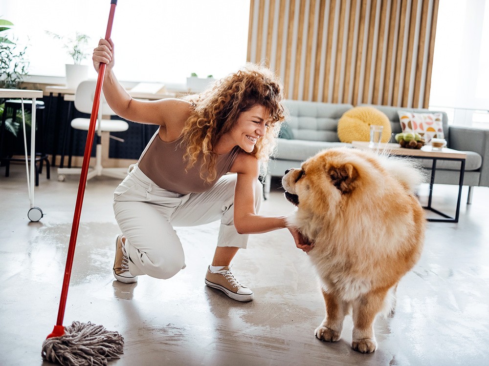 A woman happily mops her living room floor while her golden retriever dog sits and watches, showcasing a safe cleaning routine around pets.