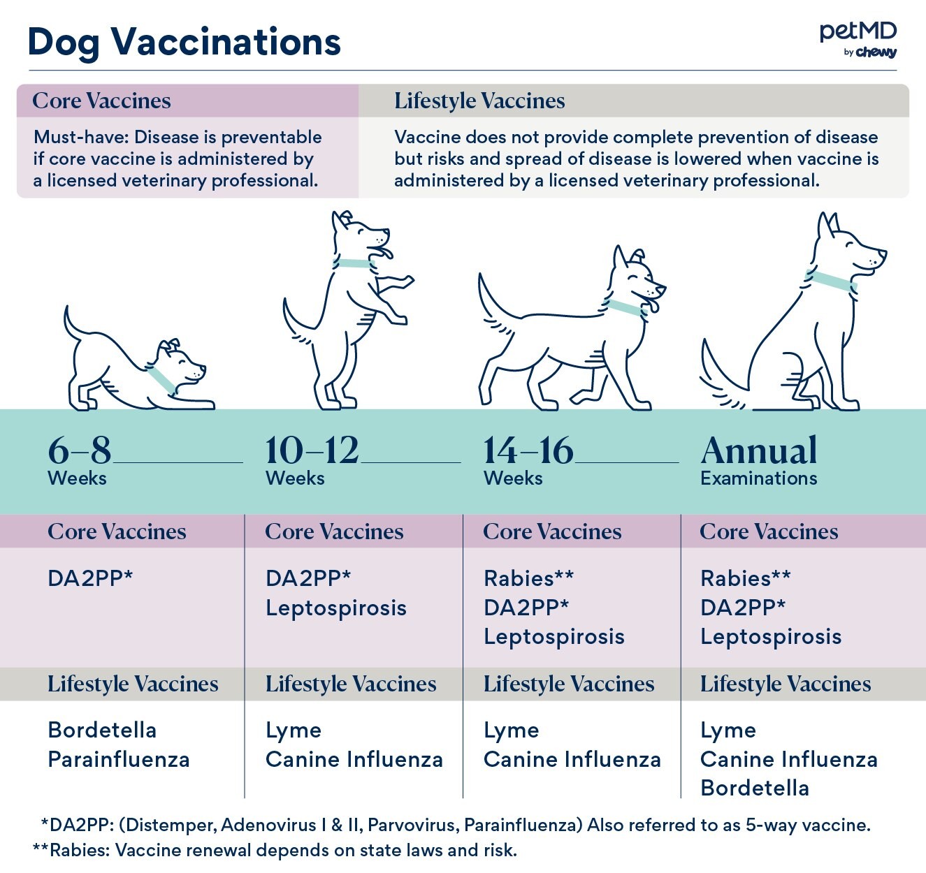 infographic depicting core and lifestyle dog vaccines and when dogs should be vaccinated