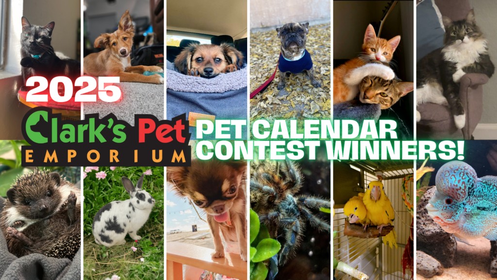 A collage of Clark's Pets calendar contest winners, showcasing diverse pets like dogs, cats, and rabbits, highlighting the community aspect and wide appeal of the pet store.