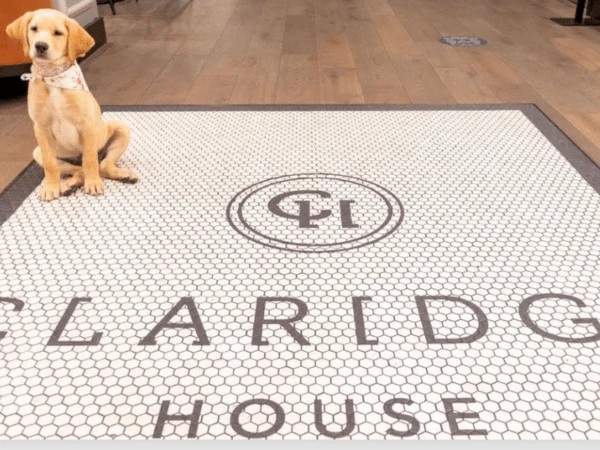 A well-behaved dog sits patiently on the doorstep of the elegant Claridge House hotel in Chicago.