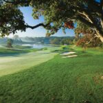 Close-up of a meticulously maintained green on the Pete Dye Course, highlighting the challenging contours and pristine condition