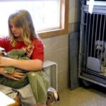 Adopt a Pet Fenton: Discover Your Furry Friend at this Michigan Shelter