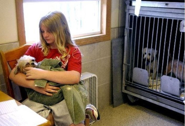 Adopt a Pet Fenton: Discover Your Furry Friend at this Michigan Shelter