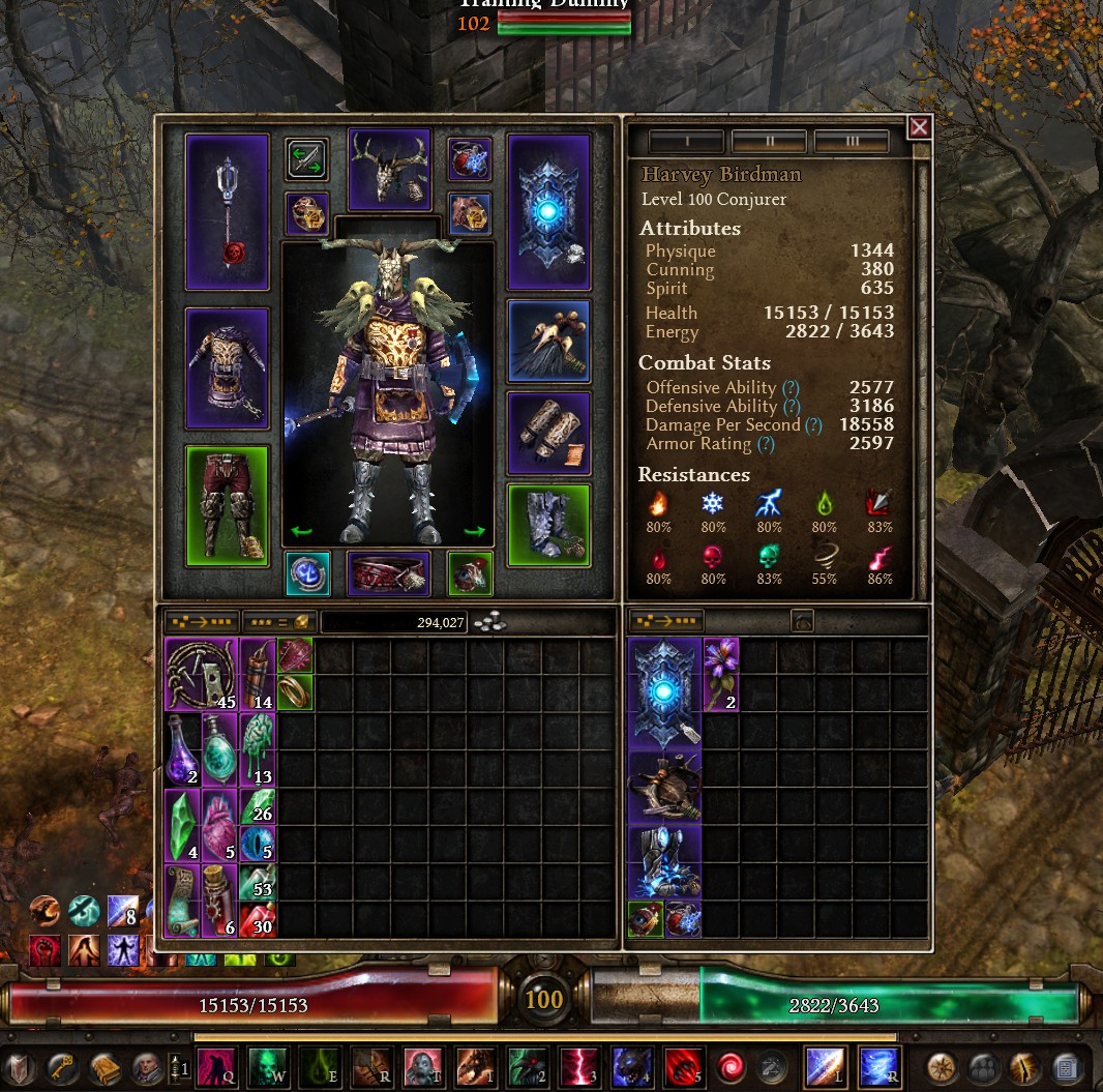 Unleash the Storm with Pet Ravens: Grim Dawn Hybrid Build Stats and Skills