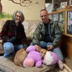 Pets Inc. Success Stories: Greyhound Adoptions of the Week