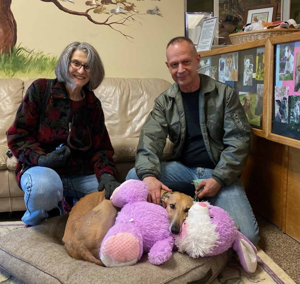 Pets Inc. Success Stories: Greyhound Adoptions of the Week