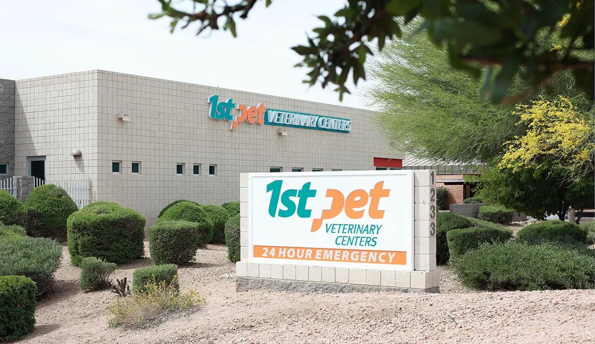 1st Pet Veterinary Center Chandler AZ, providing comprehensive pet care services