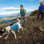 Active couple hiking with their dog on a trail in South Lake Tahoe, enjoying the pet-friendly outdoors.