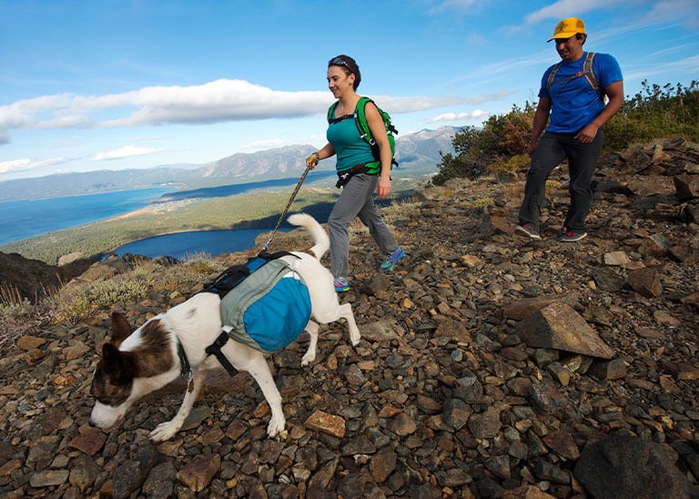 Active couple hiking with their dog on a trail in South Lake Tahoe, enjoying the pet-friendly outdoors.