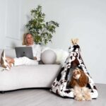 Dog in fur teepee dog bed near woman on sofa