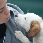 This lovely lady airkissing her puppy has plenty of nicknames in Italian for it and other pets.