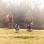 Bend Oregon off-leash dog parks offer joyful experiences for pets