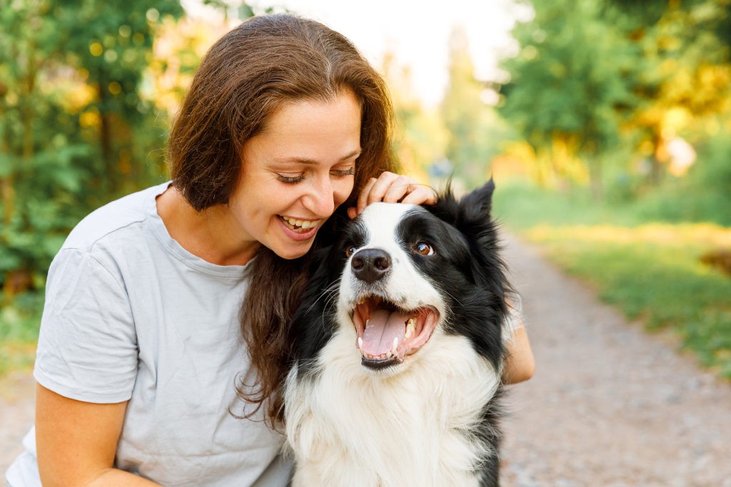 A person petting a golden retriever in a park, showcasing the bond between humans and dogs.