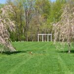 Tranquil garden pathway at Pet Meadow pet cemetery