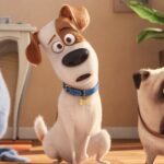 The Secret Life of Pets movie poster featuring Max, Duke, Gidget, and Snowball, showcasing the main characters of this animated pet adventure