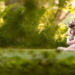 Group of diverse people with their pets smiling and enjoying time together