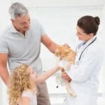 Cat on homepage of Harris Animal Hospital website