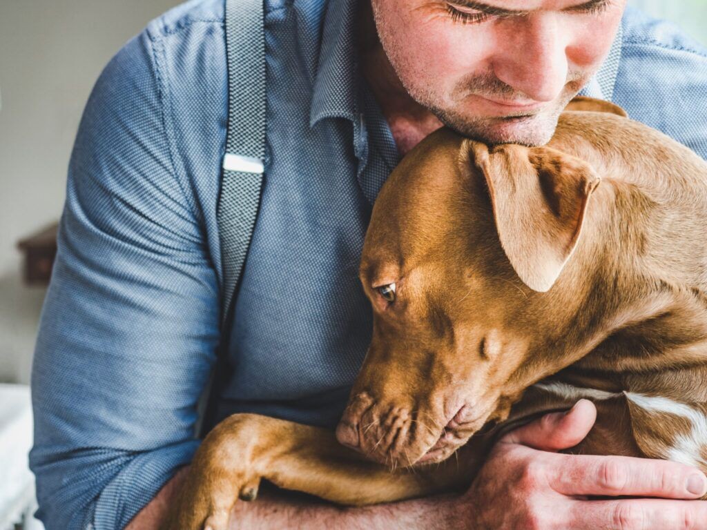 man comforting his sad dog with a hug.