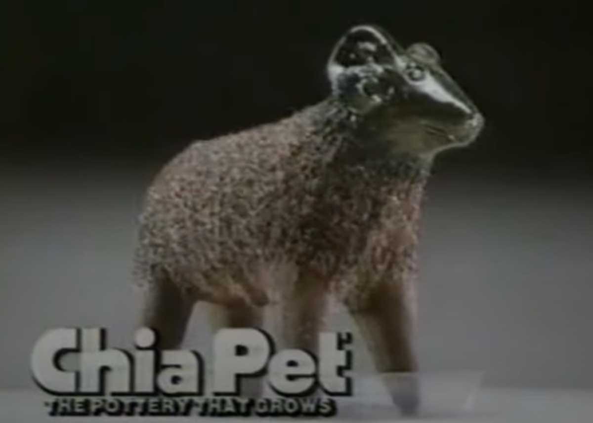 Chia Pet Commercial with Jingle