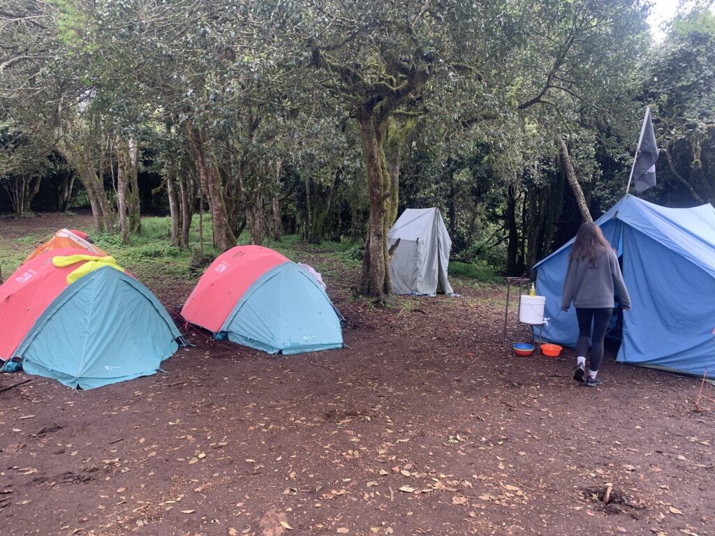 Hikers at Mti Mkubwa Camp in red and green tents, with a toilet tent and dining tent, showcasing the campsite setup