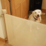 Happy dog safely contained behind a white retractable pet gate installed indoors, showcasing the ease of use and pet-friendly design of retractable gates.