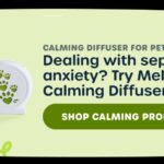 Try Mellow Calming