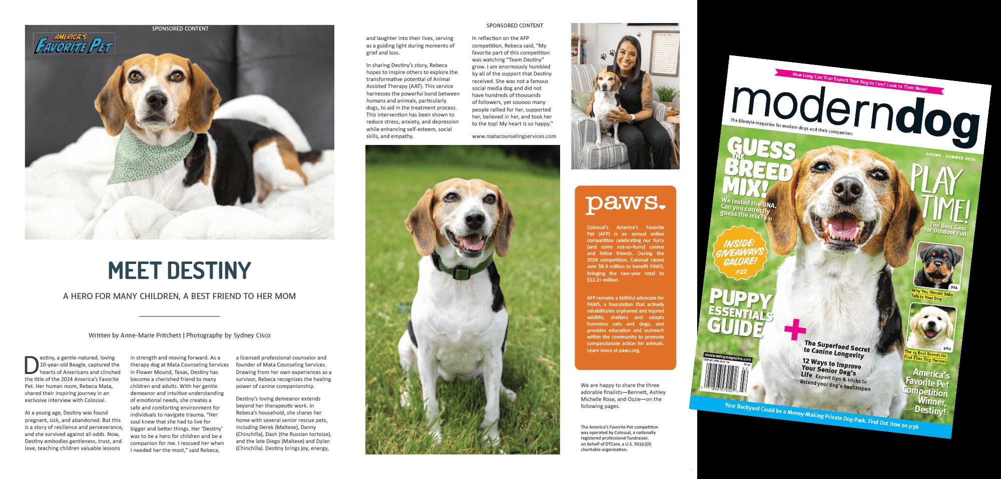 Destiny, America's Favorite Dog 2024, featured on Modern Dog magazine cover, winner of the America's Favorite Pet competition.