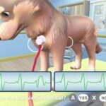 Gameplay in My Universe Pet Clinic Cats & Dogs featuring a dog patient