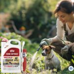 A woman sprays Ortho Home Defense around the perimeter of her garden while her dog is nearby, highlighting the question of whether Ortho Home Defense is safe for pets.