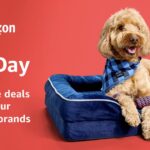 Amazon Pet Day is a two-day sales event on May 7-8, 2024, featuring discounts on pet products like food, toys, and health supplies.