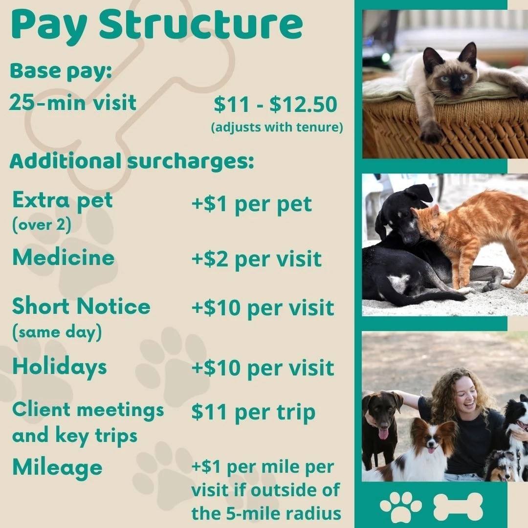 Find Pet Sitting Jobs Near Me – Join Our Team Today!