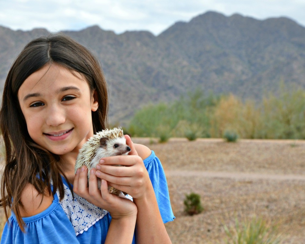 Do hedgehogs make good pets for kids? We think so!