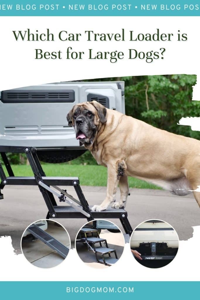 Mastiff on Pet Loader Dog Steps by Big Dog Mom