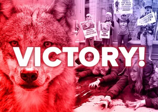 PETA banner announcing Canada Goose fur ban victory