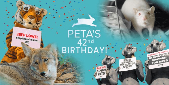 What is PETA? Understanding the Mission of the World’s Largest Animal Rights Organization