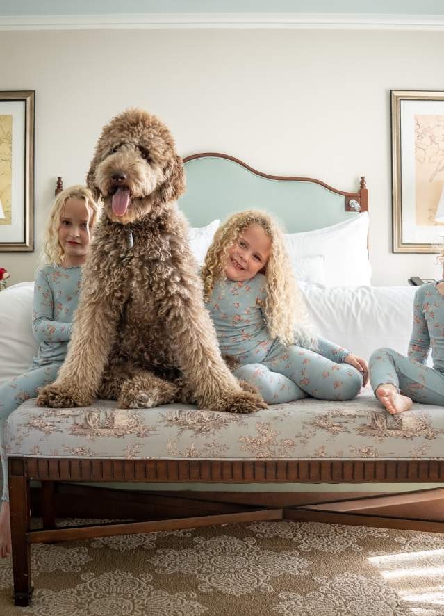 Luxury pet-friendly hotel Windsor Court in New Orleans offers pampered pet program