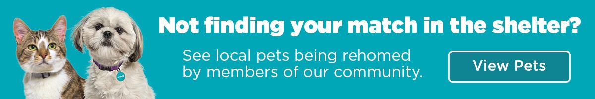 Browse our available pets below!