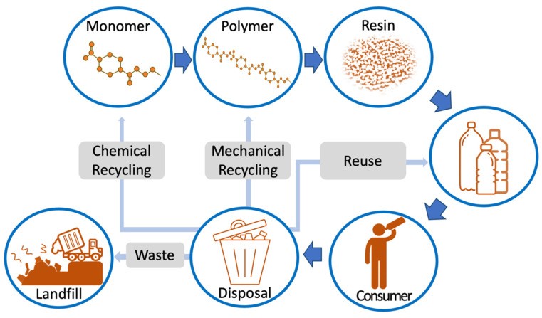 Chemical reaction of terephthalic acid and ethylene glycol for the formation of polyethylene terephthalate.