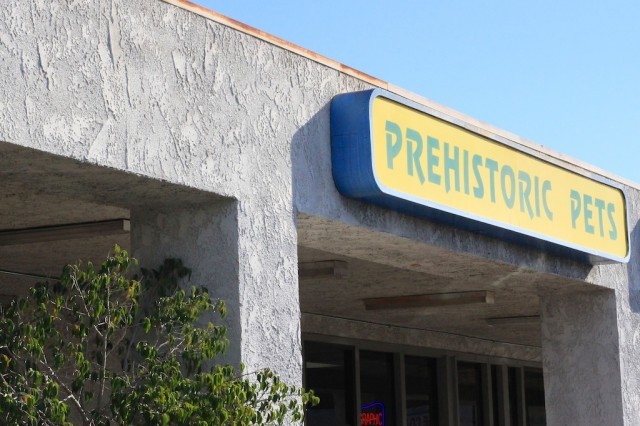 Exterior view of Prehistoric Pets, showcasing signage and building facade