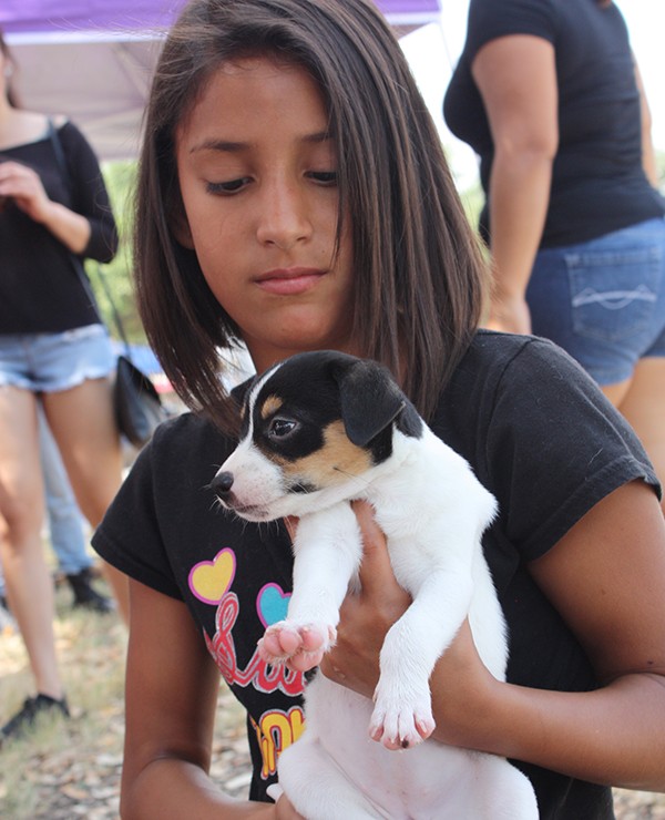 San Antonio Pets Alive! hosted a pet adoption at Raspa Fest. Photo by Kay Richter.