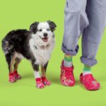 Pet Crocs & Classic Lined Clogs