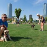 People enjoying time with dogs at Scissortail Park in Oklahoma City