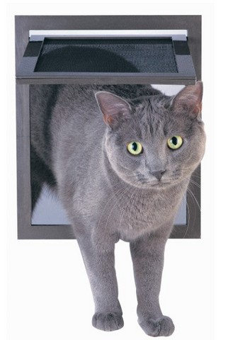 Installation Steps for a Cat Door