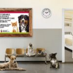 Announcing online pet appointment scheduling at First Coast No More Homeless Pets Norwood. Megaphone graphic highlighting convenient veterinary care access.