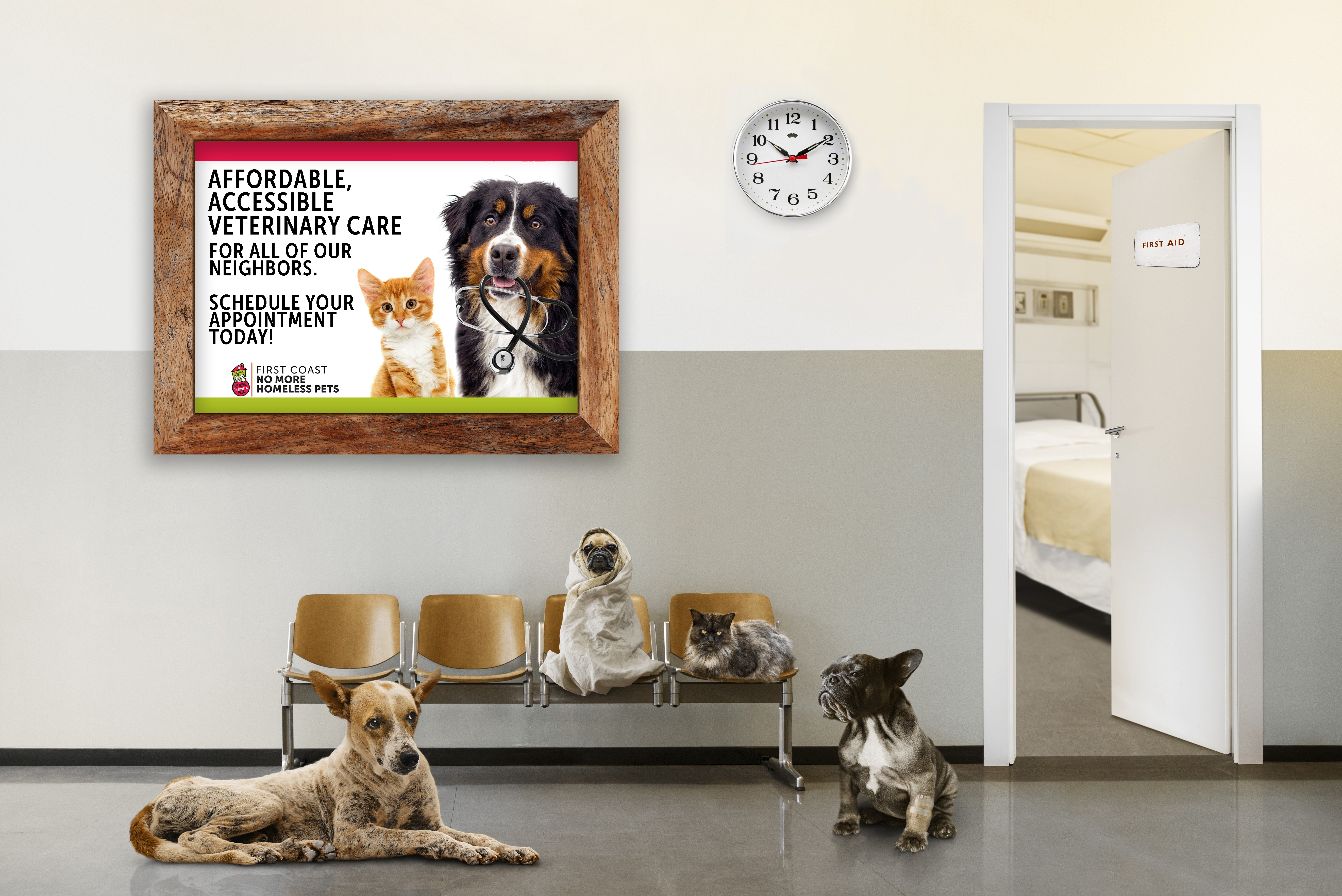 Announcing online pet appointment scheduling at First Coast No More Homeless Pets Norwood. Megaphone graphic highlighting convenient veterinary care access.