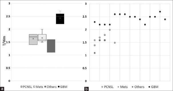 Tumor-to-white matter (T/Wm) ratio in PCNSL, metastases, glioblastoma, and other lesions