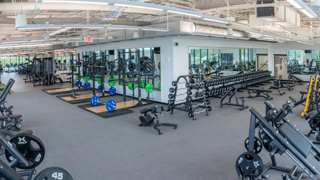 State-of-the-art fitness equipment at the Speer YMCA St Pete, showcasing the modern wellness facilities available to members and the community.